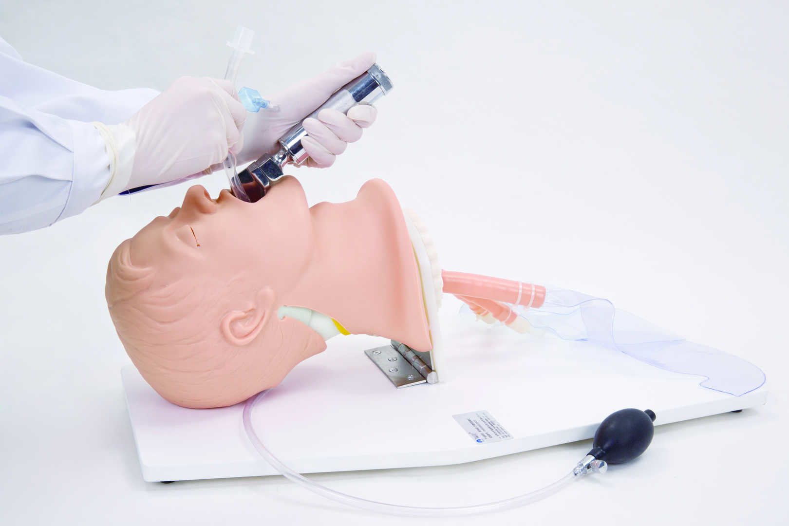 Airway Management Trainer