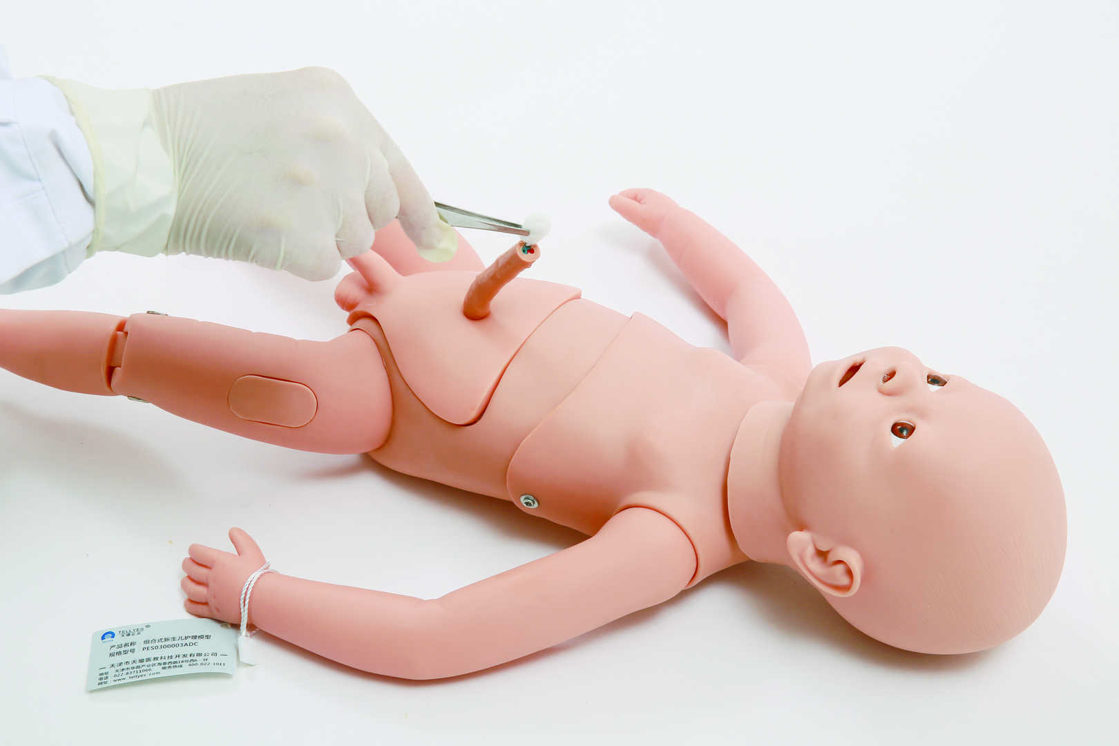 Combined Neonate Care Manikin 